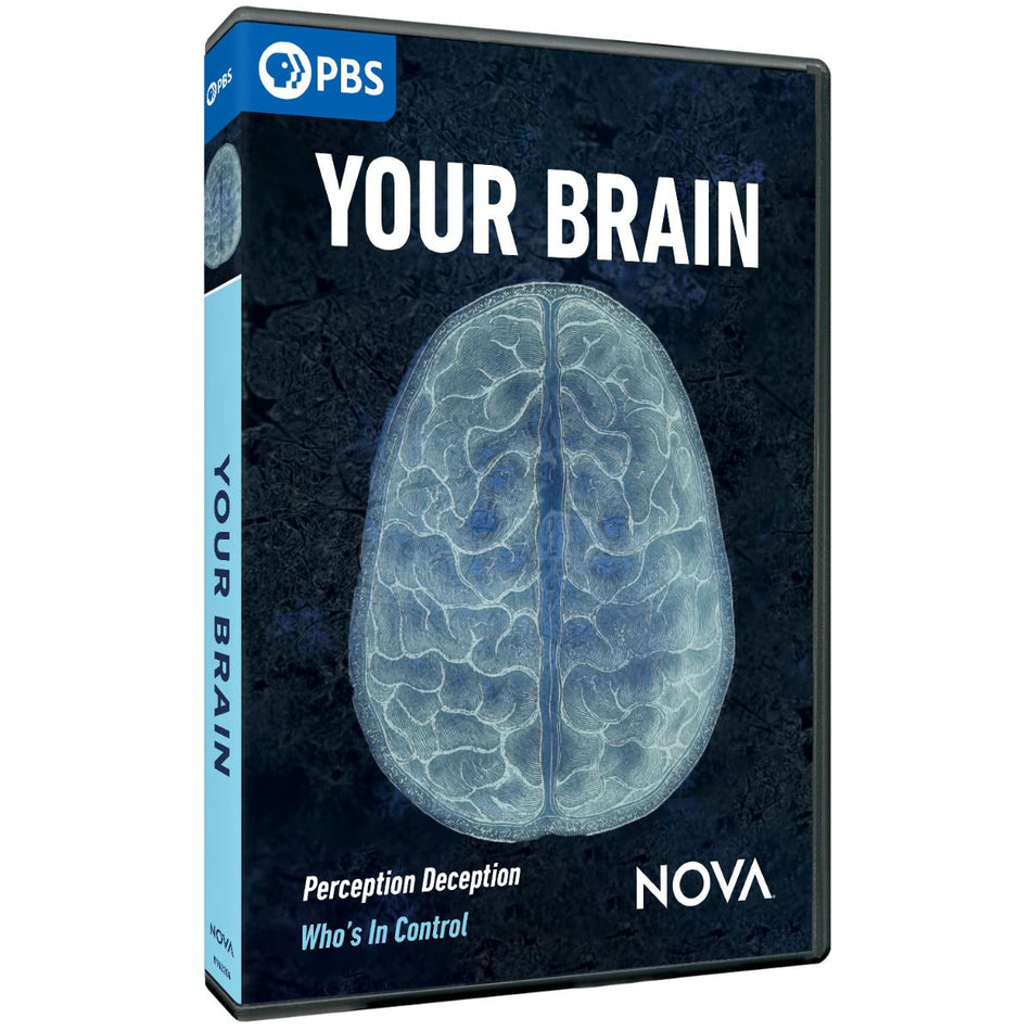 Nova: Your Brain Dvd