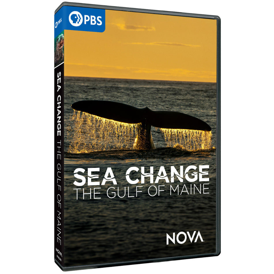 Sea Change: The Gulf Of Maine, A Nova Special Presentation Dvd