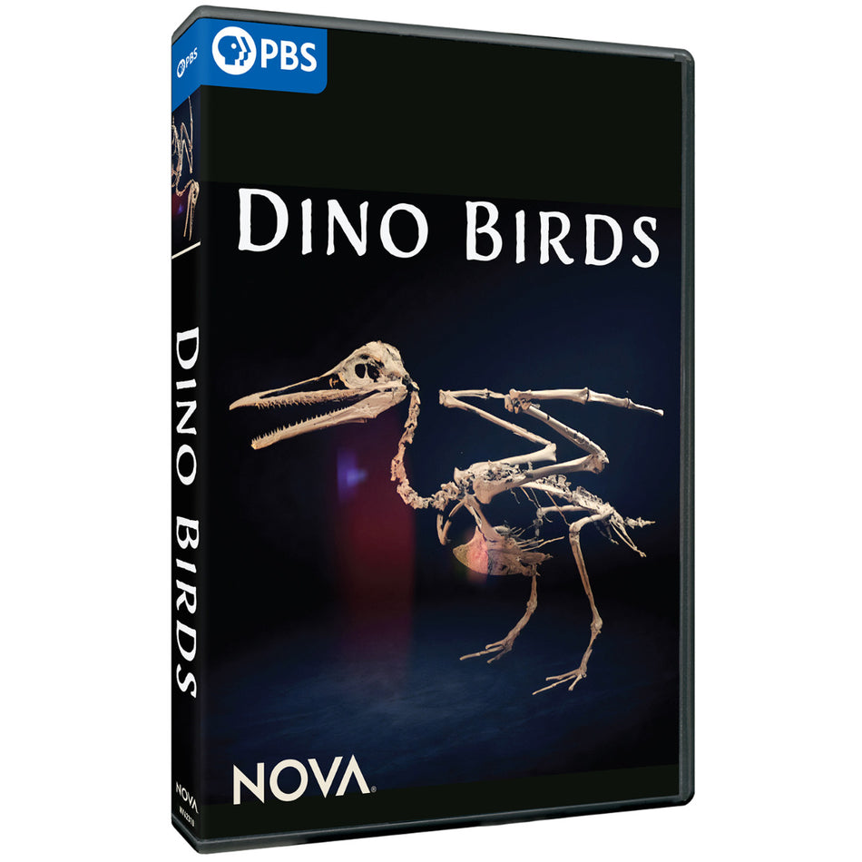 Nova: Dino Birds Dvd