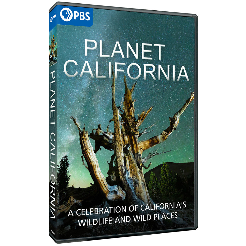 Planet California Dvd