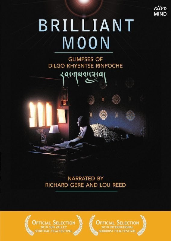 Brilliant Moon