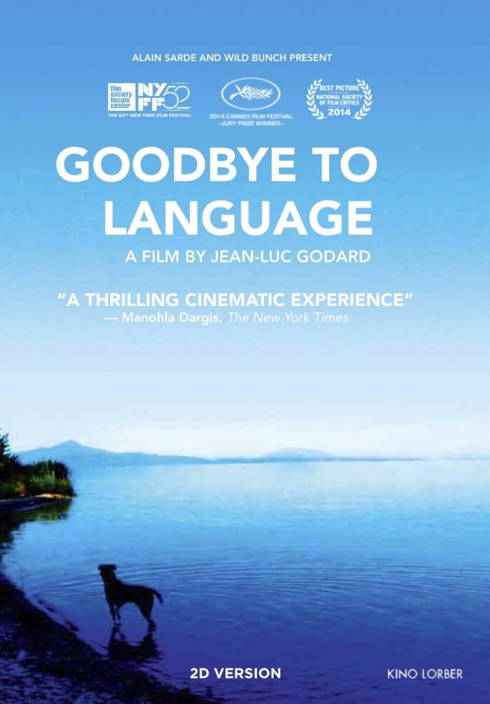 Goodbye To Language