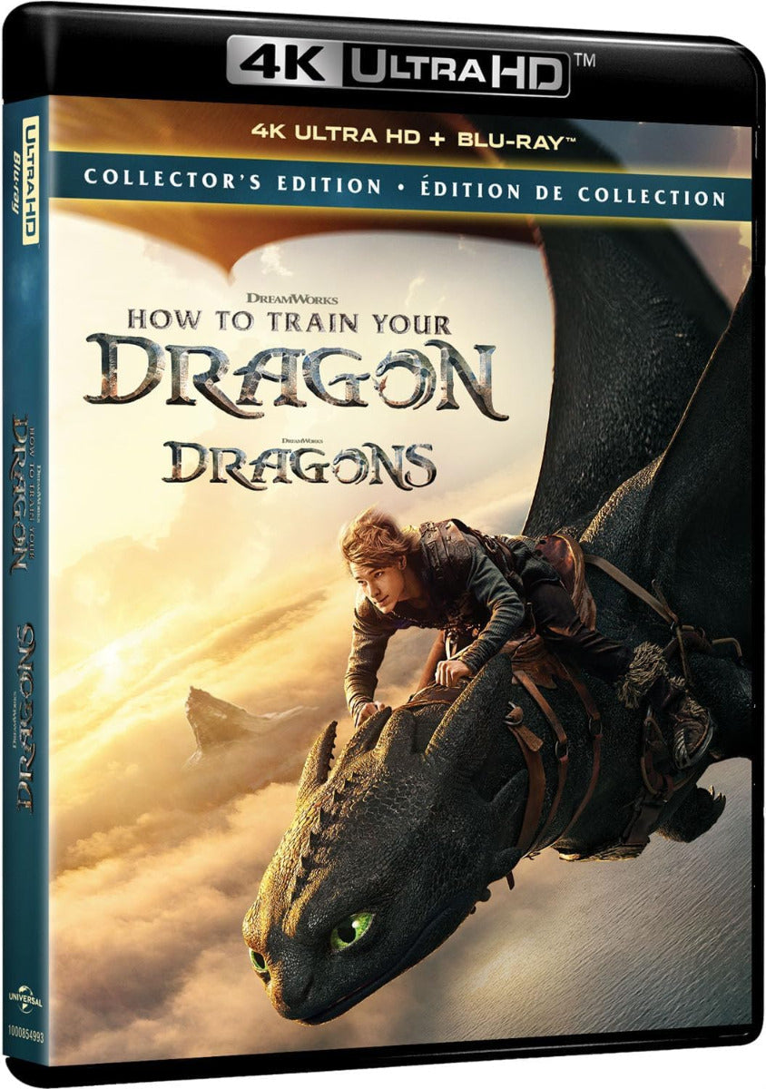 How To Train Your Dragon 4K