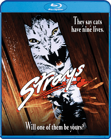 Strays (1991) (Blu-Ray)