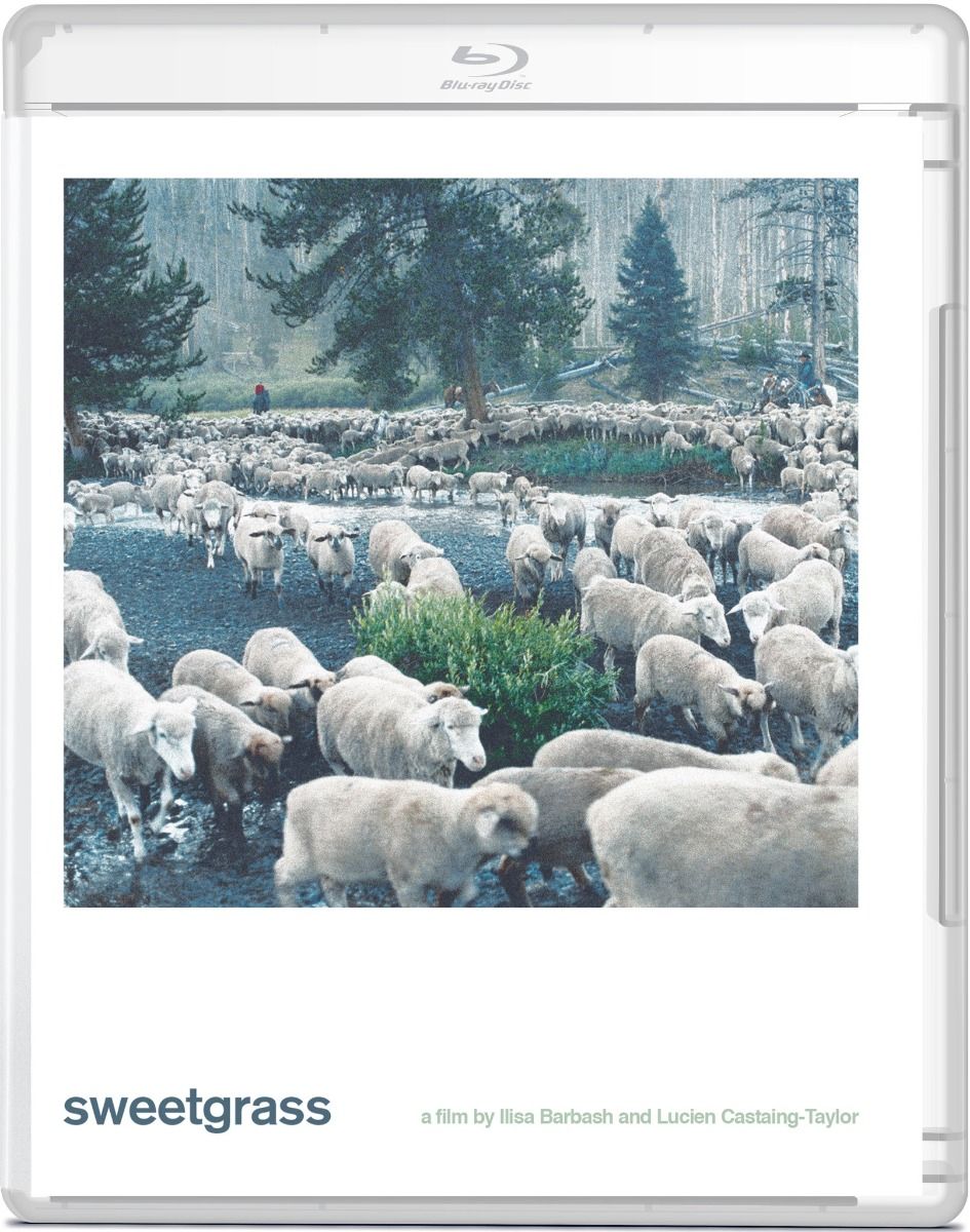 Sweetgrass Bluray