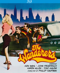 Wanderers, The (1979) (Blu-Ray)