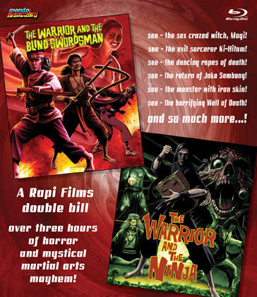 Warrior And The Blind Swordsman/Warrior And The Ninja - Double Bill Bluray