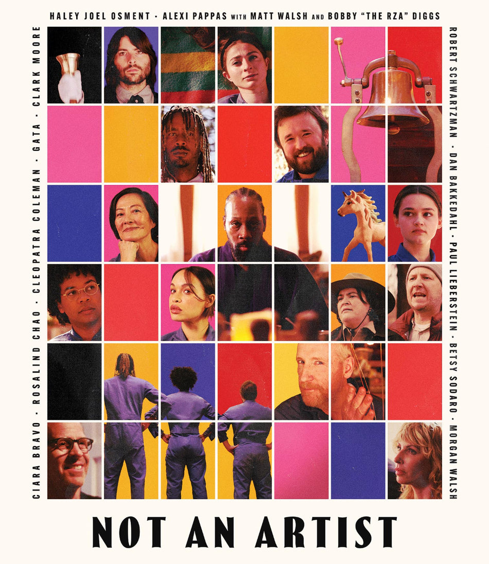Not An Artist Blu-Ray Standard Edition